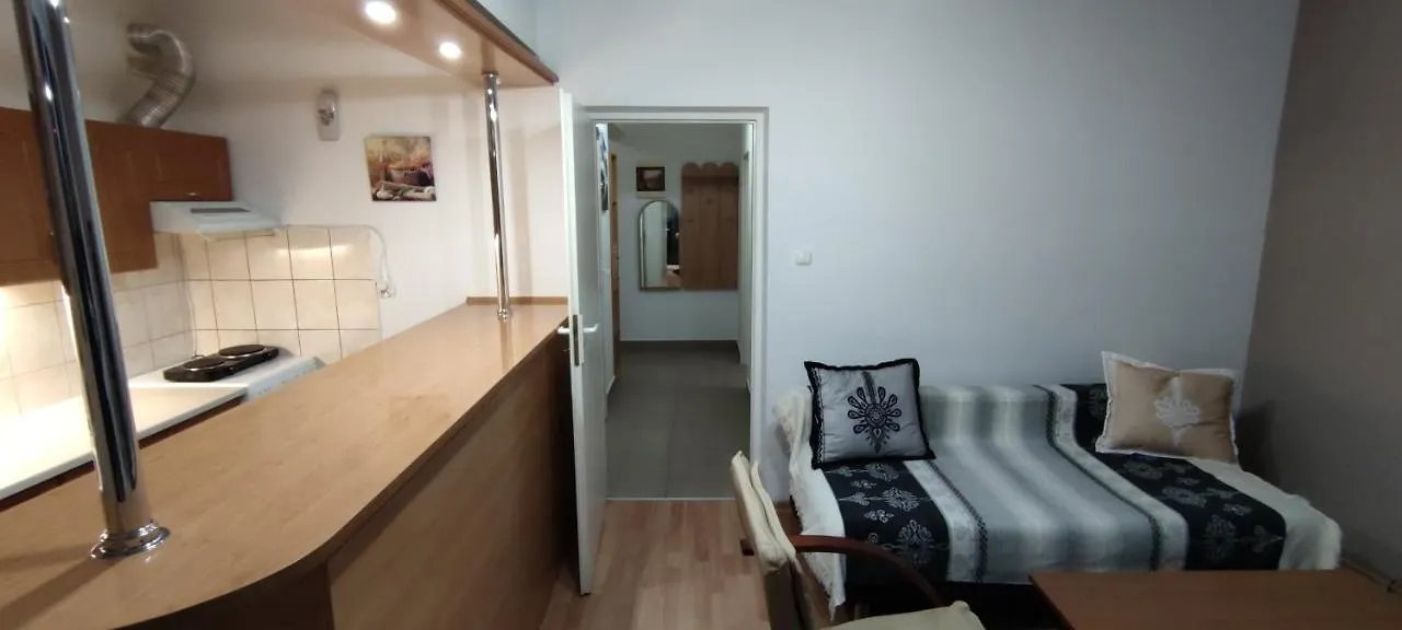 Apartament Taterka Zakopane Centrum Apartment